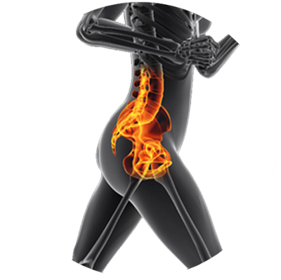 Body bones, pelvic region highlighted.