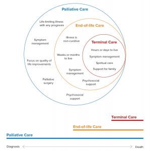 Palliative Care In Ontario Everything You Need To Know